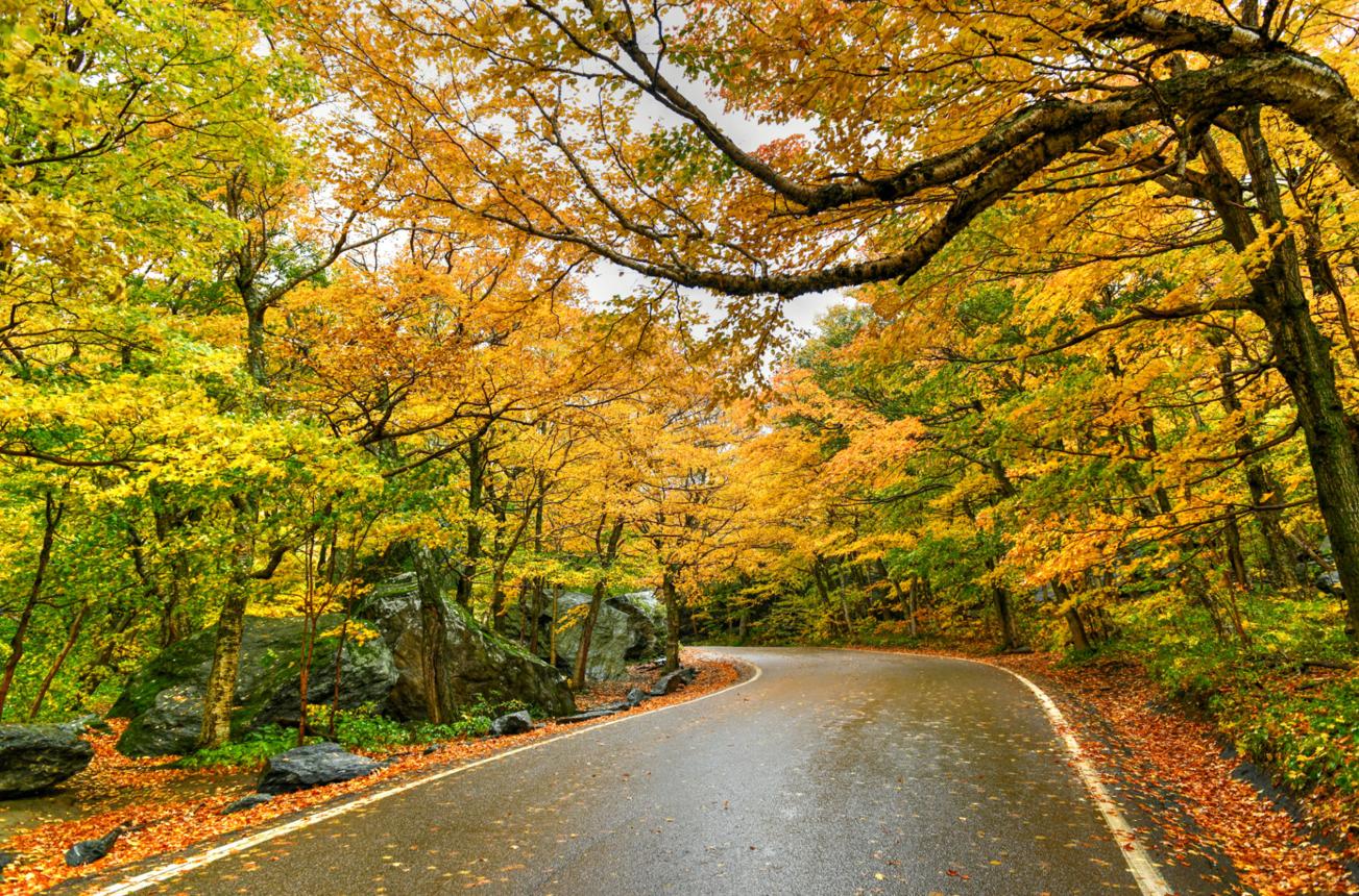 Exploring the Beauty of Scenic Drives Through the Green Mountains 6 Smugs%20pic%203